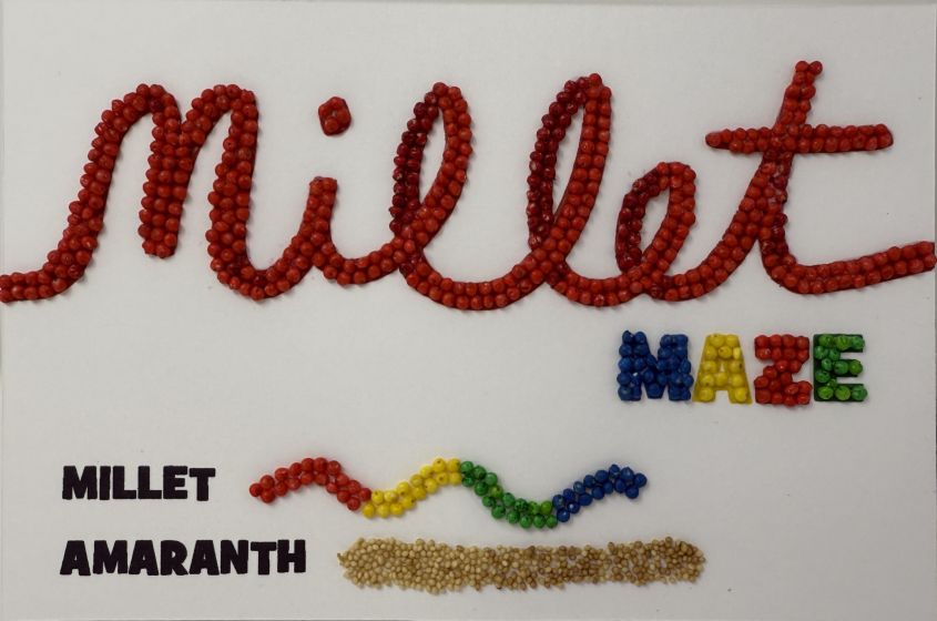 [Robin Schwartzman Millet Maze Index image]